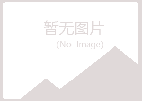 宁夏夏岚采矿有限公司